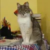 Отзыв от Валерия Игнатова